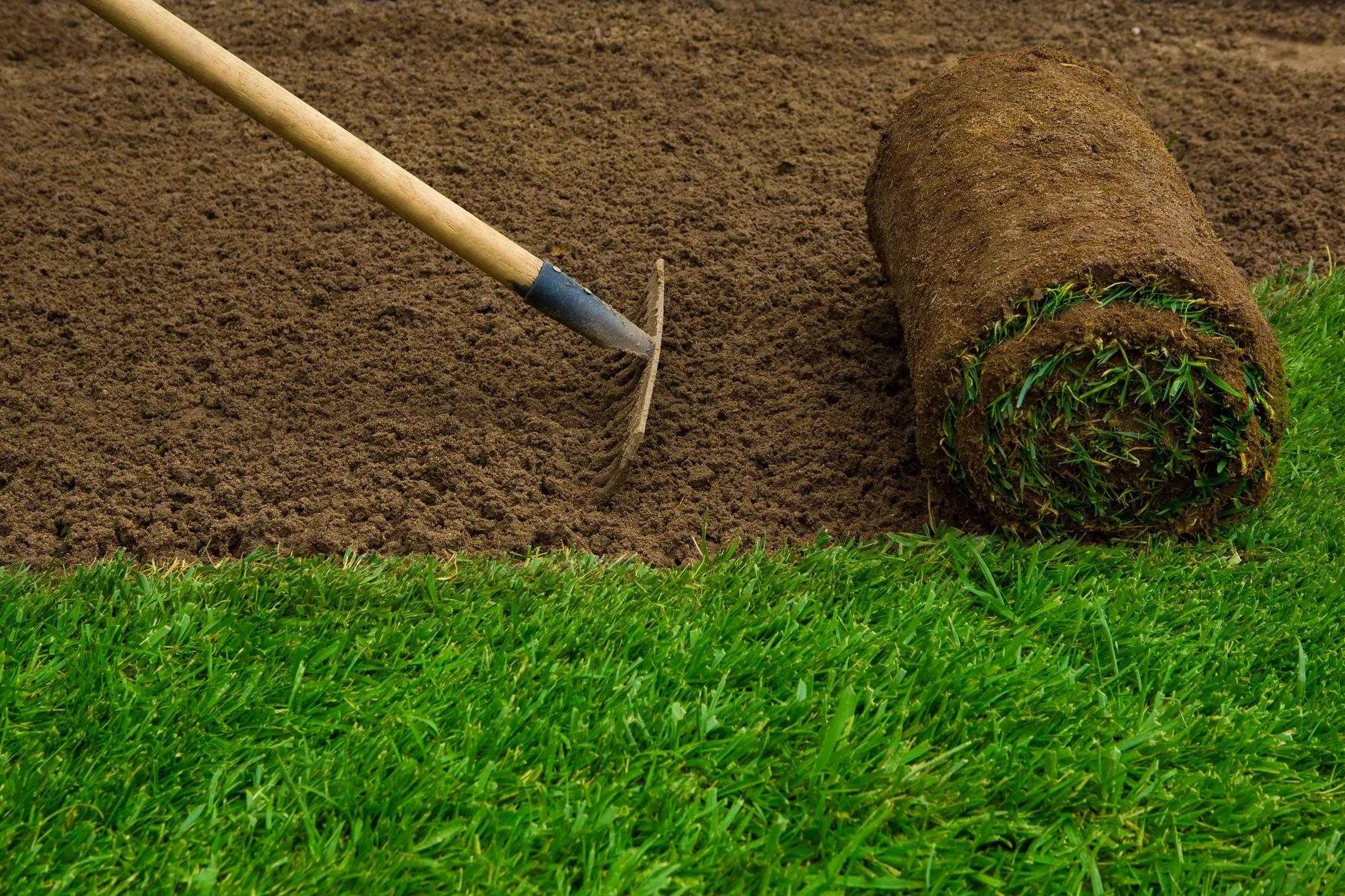 Professional Sod Installation and New Lawn